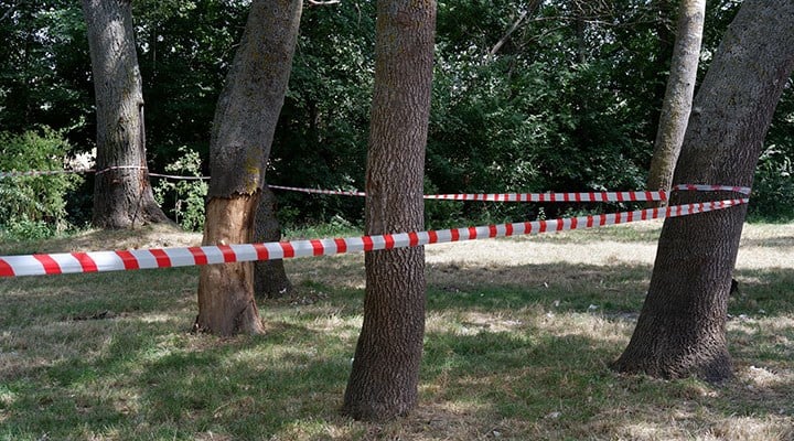 Çanakkale genelinde ormanlara giriş yasağı 1 Haziran'da başlıyor!